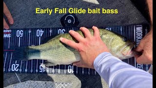 Glide bait bass fishing [upl. by Reiner]