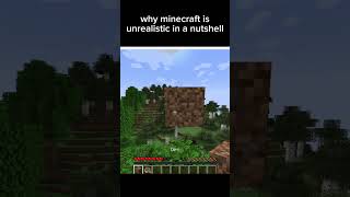 why minecraft is unrealistic in a nutshell minecraft memes shorts [upl. by Durham]