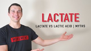 Lactate vs Lactic Acid Explained  Muscle Physiology [upl. by Kling]