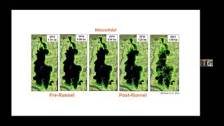 Asessing hydrologic restoration in MA marshes [upl. by Cogen]