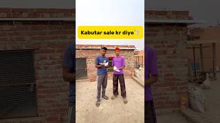 Kabutar sale kr diye🕊️ petlover minivlog pigeonvlogger pigeon kabutar birds sale viralshort [upl. by Adliwa]