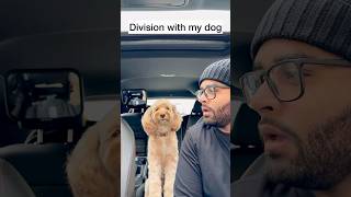 Mini Cockapoo Thinks Before Answering These Division Questions 😳 [upl. by Stavros445]