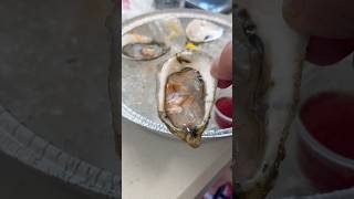 Broad Street Oyster Company at the Family Style Food Festival mukbang asmr broadstreet oysters [upl. by Aznarepse]