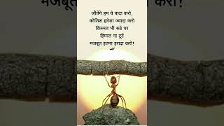 Majbut irada karo strong irada evining struggle hinduquotes hindi [upl. by Treacy]