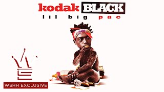 Kodak Black quotVibin In This Bihquot Feat Gucci Mane WSHH Exclusive  Official Audio [upl. by Leif]