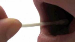 How to take a mouth swab for DNA Paternity Testing [upl. by Ahseiyk472]