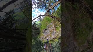 Hiking the Bavarian Alps  Scenic Adventure in Füssen Germany [upl. by Jourdain747]