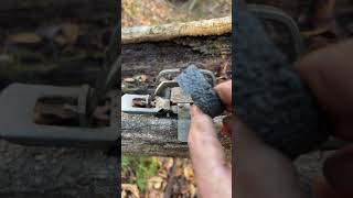 DIY Trap pan underall trapping survival snaring outdoors bushcraft [upl. by Jenkins]