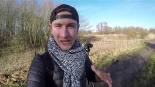 Vlog 33 Op stap in de Oostvaardersplassen [upl. by Bascio248]