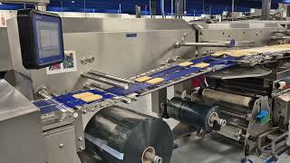 Multivac R530 packaging line with Robert Pack robot [upl. by Meador907]