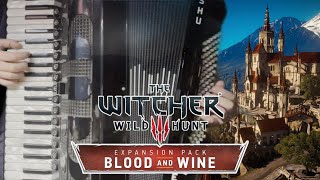 The Witcher 3  The Slopes Of The Blessure  Accordion Solo  Blood and Wine [upl. by Elyrad]