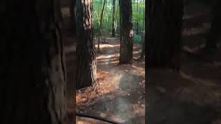 mtb mtb757 mountainbiketrails virginiabeach marshview mtbtrails mountainbike new [upl. by Nallak]