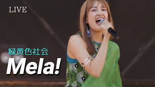 緑黄色社会 녹황색사회  mela 가사해석교차편집 LIVE mix [upl. by Etselec]