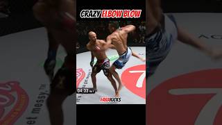 Crazy Elbow Blow muaythai mma boxing [upl. by Cornela]