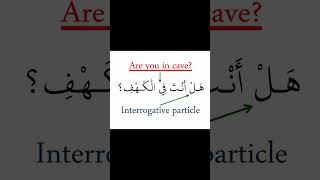 Interrogative Particle [upl. by Llenrub505]