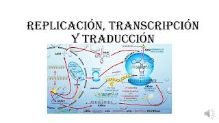 Replicación transcripción y traducción al MICROSCOPIO ebau universidad bioquímica bach [upl. by Farmelo]