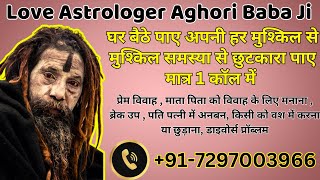 Famous Astrologer Aghori Baba Ji 91 7297003966 [upl. by Aenal]