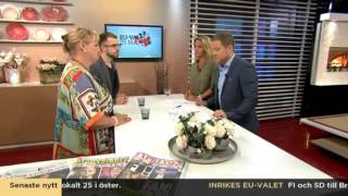 Vad innebär EUvalresultatet  Nyhetsmorgon TV4 [upl. by Diena]