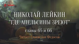 Николай Лейкин «Где апельсины зреют» Аудиокнига Главы 6566 [upl. by Ahsert805]