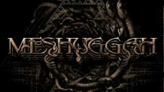 MESHUGGAH  Do Not Look Down OFFICIAL LYRIC VIDEO [upl. by Illah]