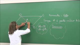 EFB106  Vetores e Geometria Analítica Combinação Linear 3  Exercício [upl. by Faline138]