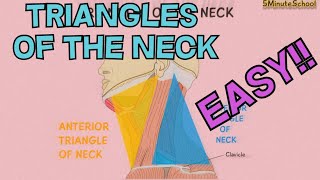 TRIANGLES OF THE NECK ANATOMY MADE EASY  EXPLAINED in 3 MINUTES CERVICAL TRIANGLES [upl. by Aillimac817]