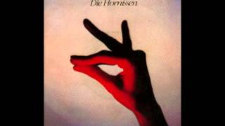 Die Hornissen  Pale Blue Eyes The Velvet Underground Cover [upl. by Jerrilee]