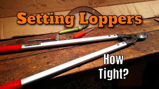 Pruning Shears  Loppers Not Cutting Well CHECK THIS [upl. by Eisler]