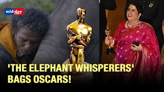 Oscar 2023 The Elephant Whisperers Won The Best Documentary Film Award At The 95th Academy Awards [upl. by Euf]