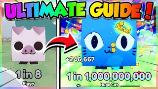 ULTIMATE GUIDE to PETS GO Roblox [upl. by Joletta]