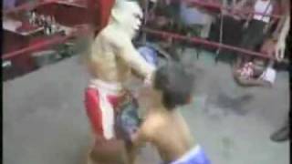 midget thai kick boxing [upl. by Hawk]