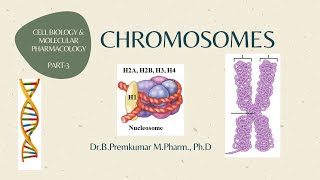 Chromosomes CBMPPart3 [upl. by Parik]