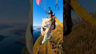 Nouvelle GoProHERO validée  ✅ parapente annecy extremesports [upl. by Atwahs]