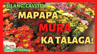 GARDENS in SILANG CAVITE  Plants For Sale at Cheapest Prices [upl. by Isus]