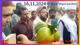 16112024 ch Umar Shani kamboh is engaged in kinnow auction  known as ch Tahir kombow amp sons [upl. by Analim57]