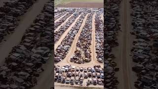 Abandoned Forest Hoard amp Barn Find cars 1930s70s Ford Chevrolet Cadillac Pontiac Mercury Buick [upl. by Demitria739]