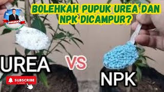 BOLEHKAH PUPUK UREA amp NPK DICAMPURDUNSAKA177 [upl. by Itsrik]