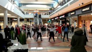 Flashmob Kauppakeskus Mylly Raisio Finland 27022016 [upl. by Devi]