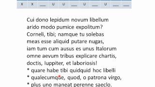 Catullus Hendecasyllabic Meter Lecture 05 of 05 [upl. by Atiuqa]