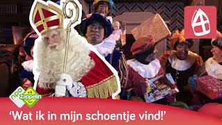 O KOM ER EENS KIJKEN  Sinterklaasliedjes  NPO Zappelin [upl. by Neirual]