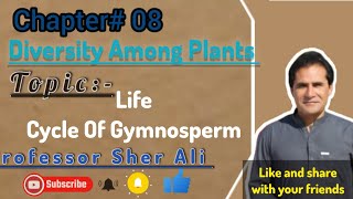 Life cycle of Gymnosperm  Kingdom Plantea by Sher Ali Sir [upl. by Anilrac]