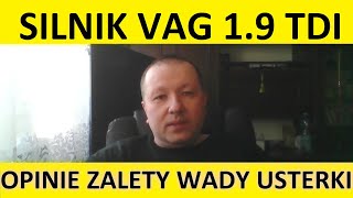 Silnik 19 TDI opinie recenzja zalety wady usterki awarie spalanie rozrząd olej forum [upl. by Akinna939]