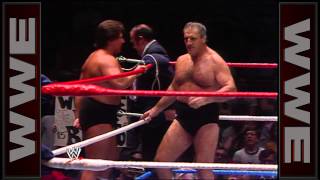 Bruno and David Sammartino vs Brutus Beefcake and Johnny V Madison Square Garden May 20 1985 [upl. by Blasien]