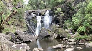 Waterfall Hike Adventure Melbourne’s Natural Wonderland MustVisit Locations” trans [upl. by Nauqahs825]