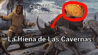 La HIENA DE LAS CAVERNAS El feroz depredador con el que nuestros antepasados lucharon Paleopedia [upl. by Ees946]