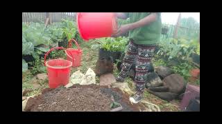 How to make potting mix for growing plants using grow bags [upl. by Enilra]