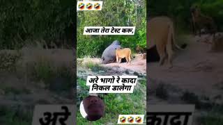 दम है तो हसी रोक के दिखाओ 🤣😂 youtubeshorts  funnyshorts comedyshorts funnyshort funnyvideo [upl. by Eldreda369]