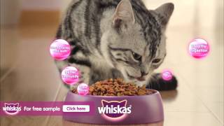 Whiskas Cat Food [upl. by Rases]