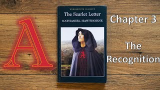 The Scarlet Letter by Nathaniel Hawthorne chapter 3  Audiobook [upl. by Sato]