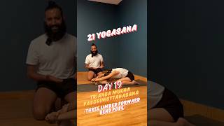 Trianga Mukha Paschimottanasana Three limbed forward bend Pose  Day 19 of 21 Days Yoga Tutorial [upl. by Sidonnie]